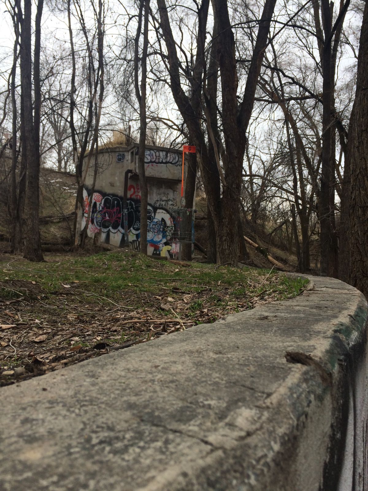 Art Dye Disc Golf Park Course Photos