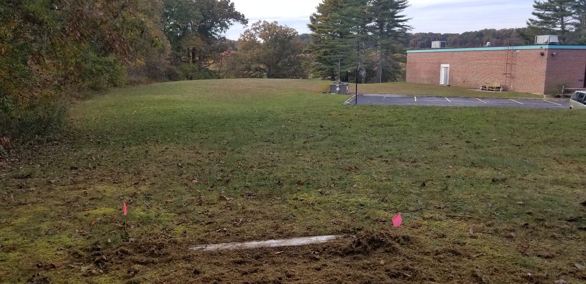 Hole 7 tee