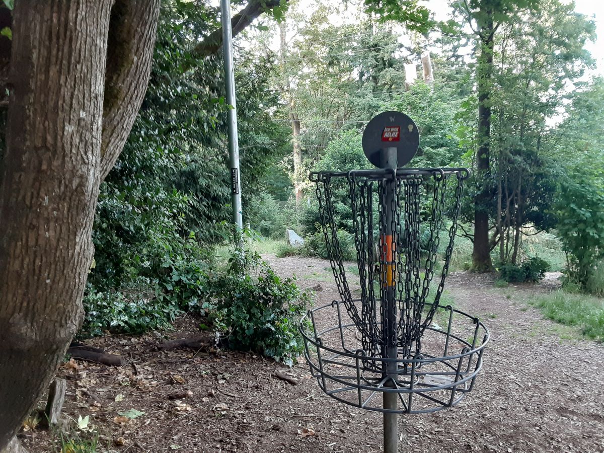 Hole 2/11