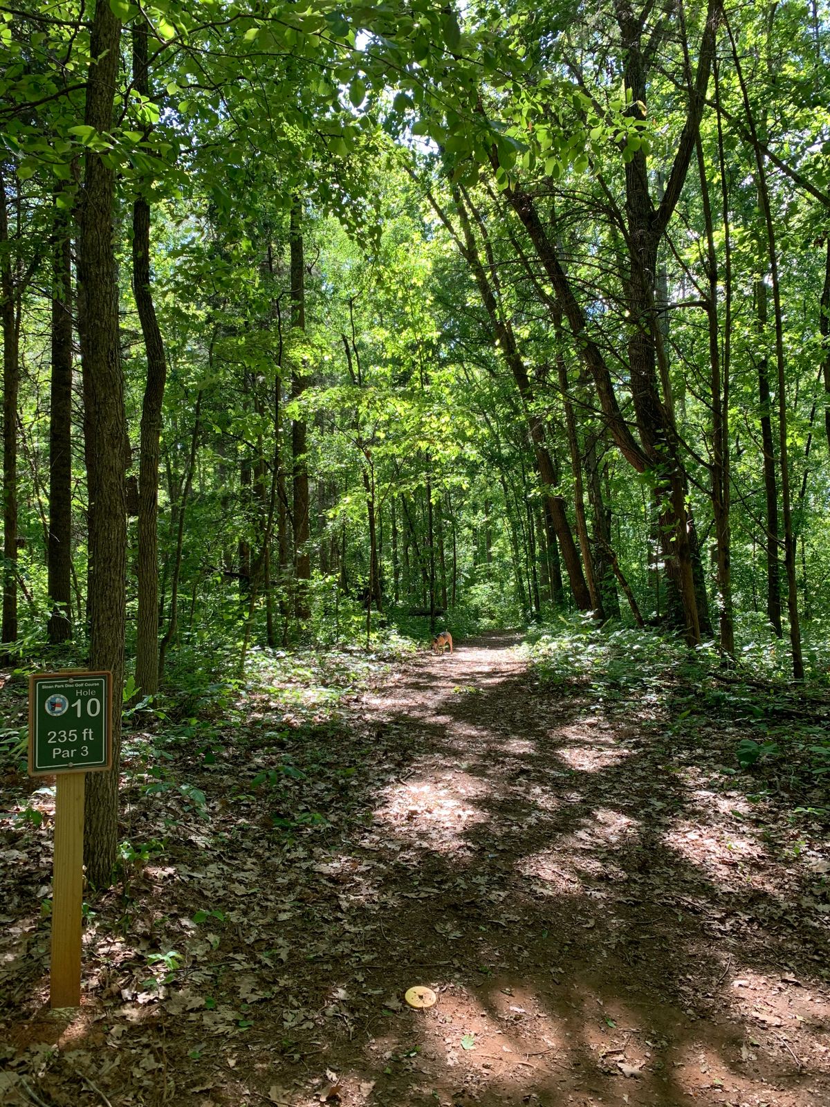 Hole 10