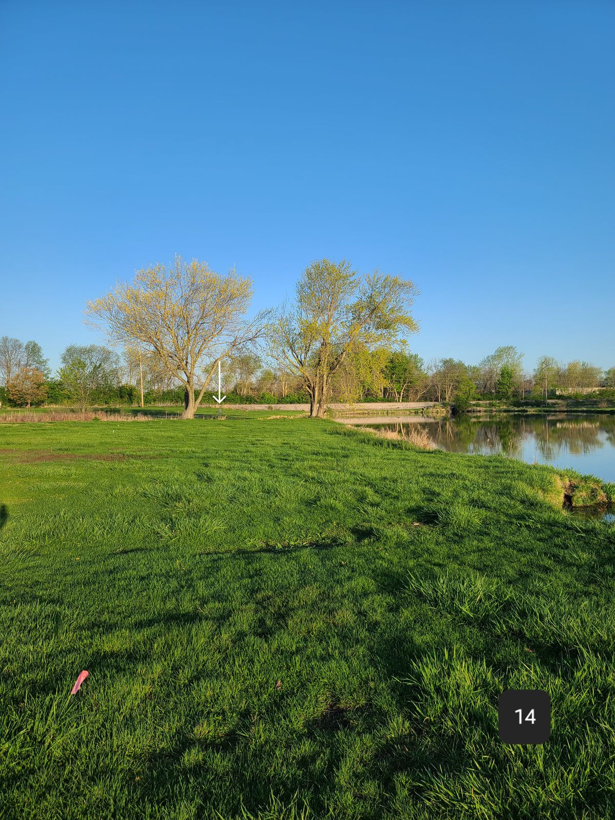 Hole 14