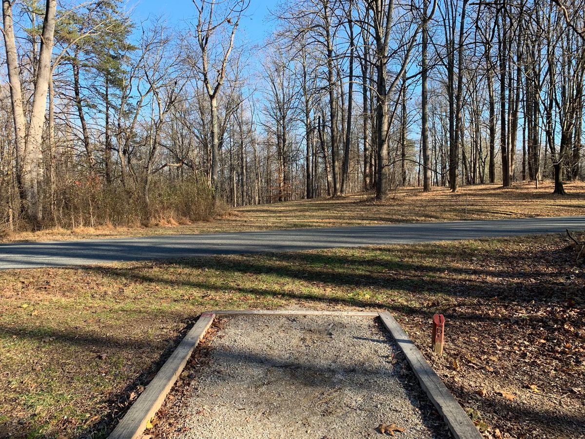 Hole 6 (short tee)