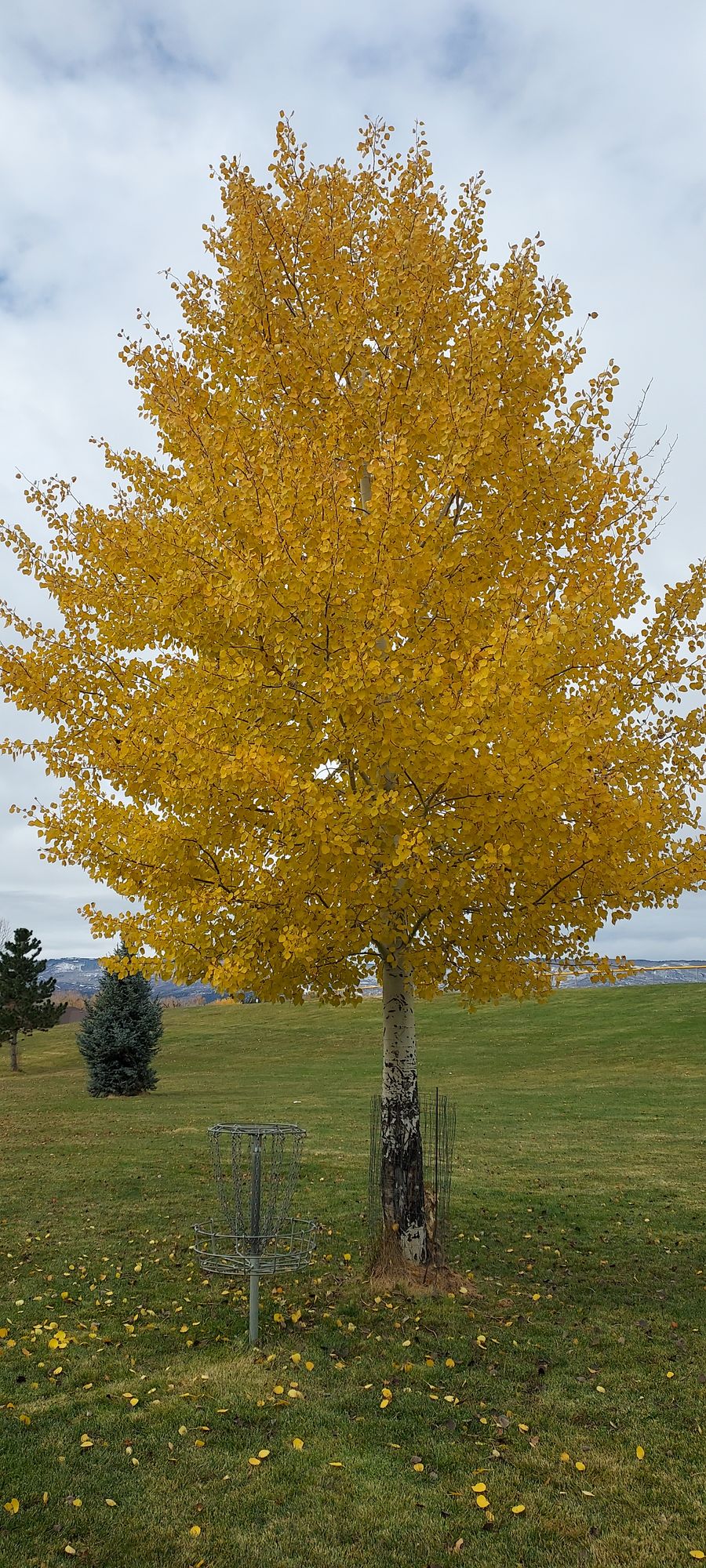 Nice fall colors in early November