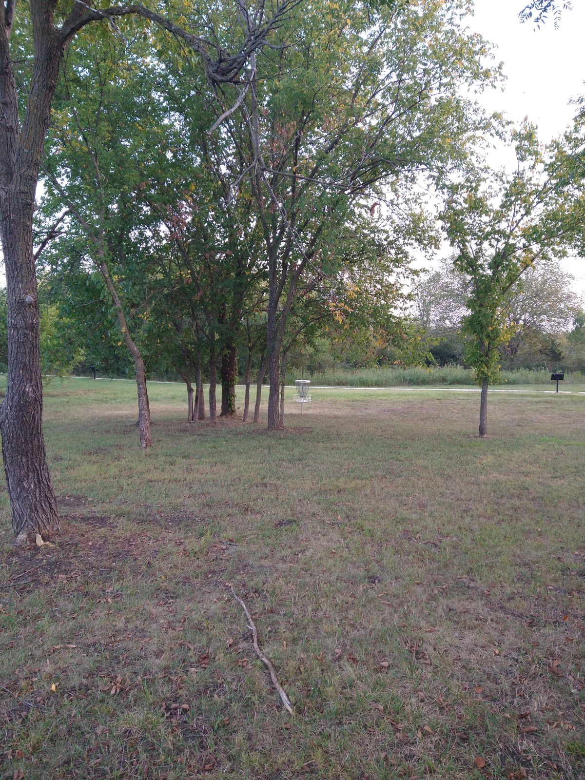 Basket is blind slightly to the right from the Tee positioned behind the clump of trees.