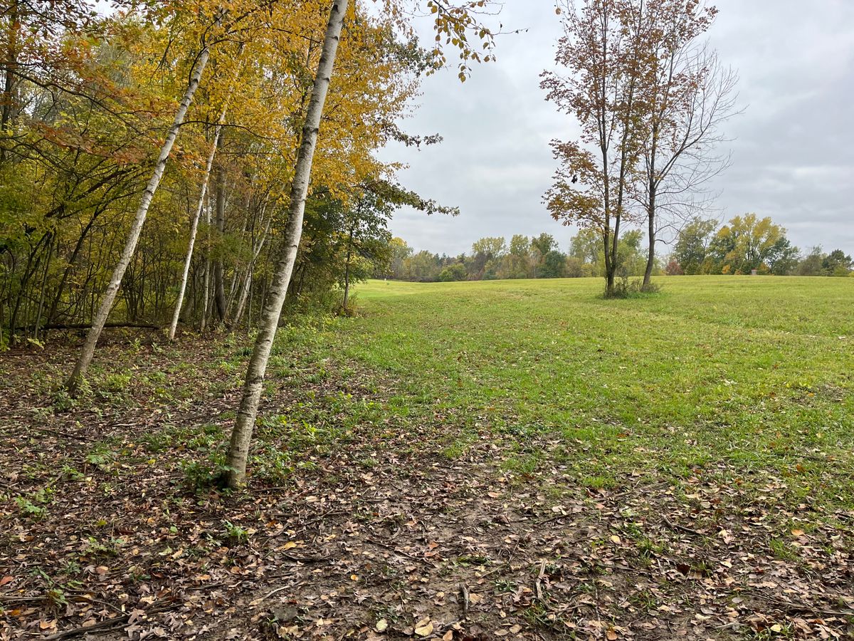 Hole 8 par 4 long backhand approach