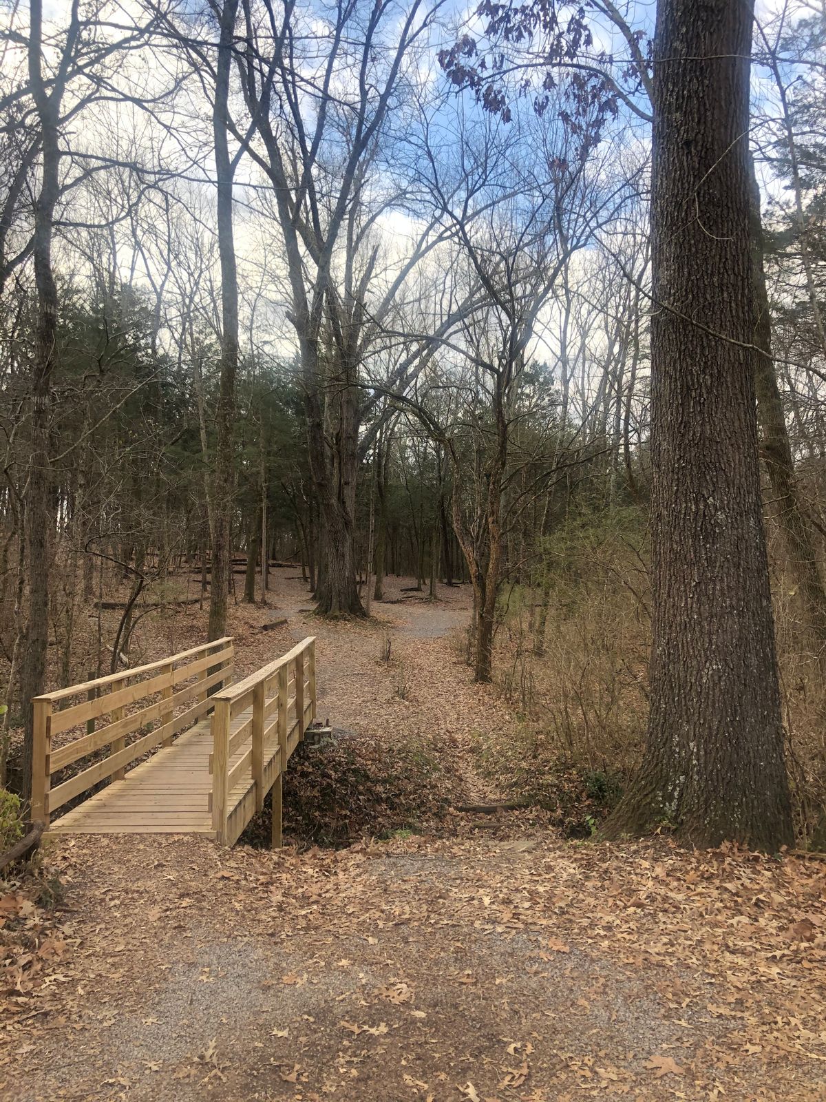 Hole 10