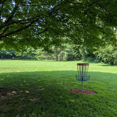 #3 Basket to Tee