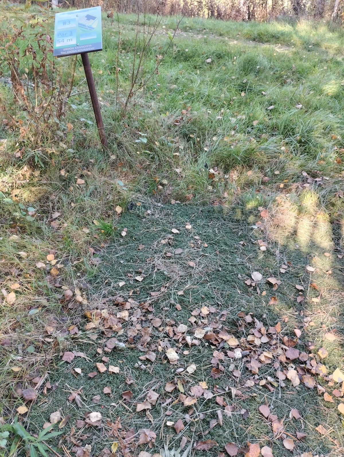 Tiit ovat huonossa kunnossa