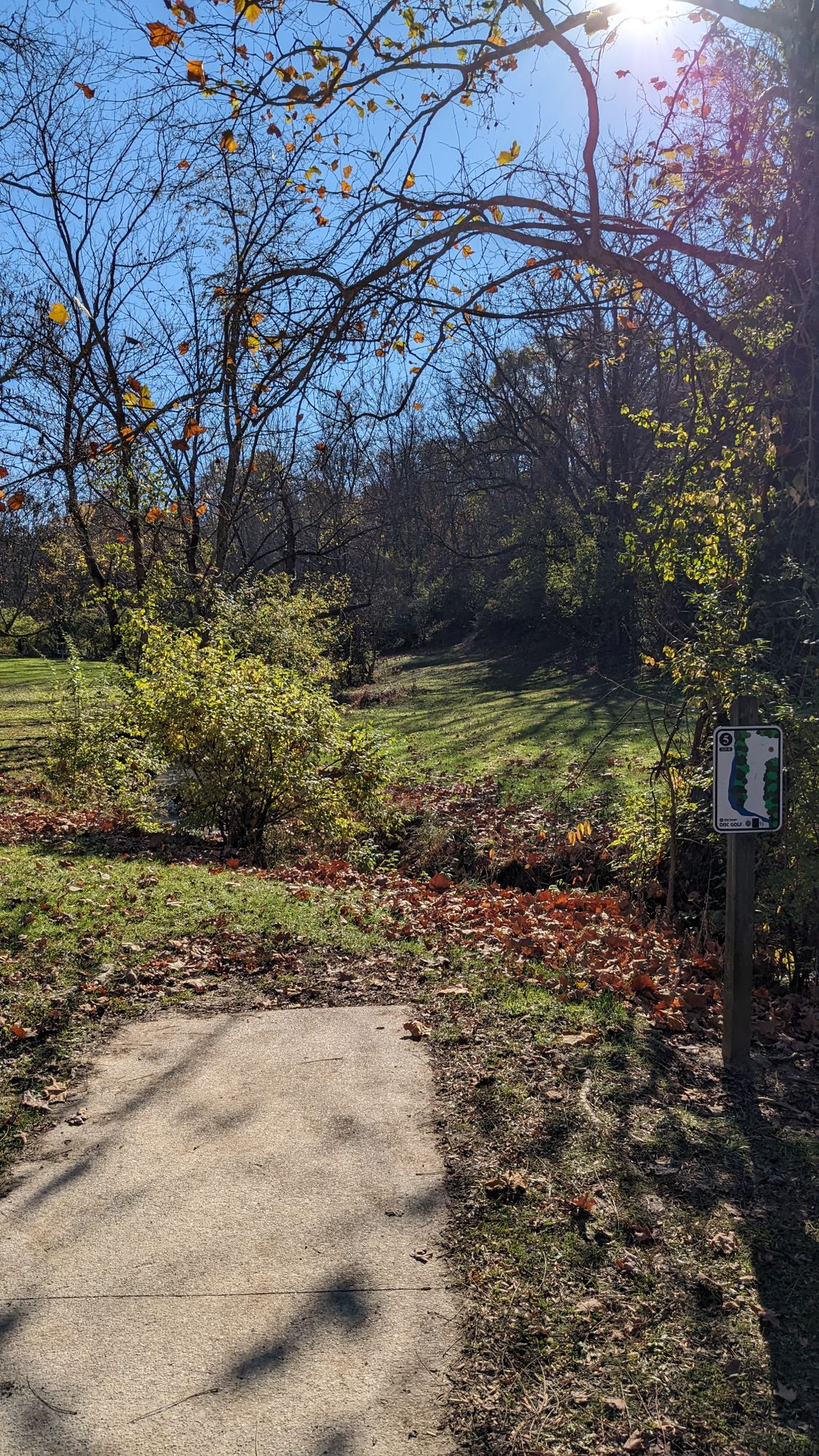 Hole #5 tee pad