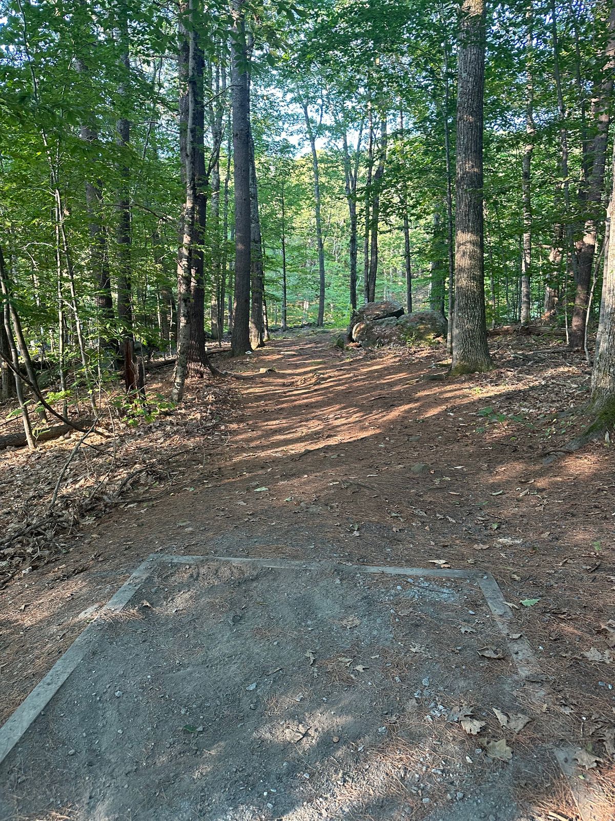 Tee pad 4