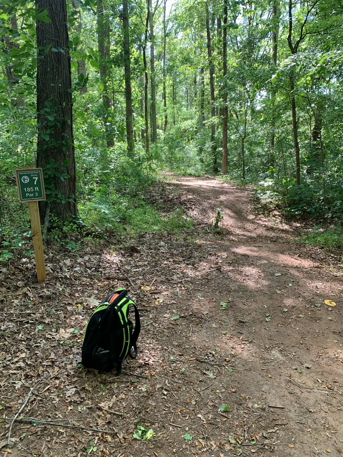 Hole 7 - Basket up and to the left