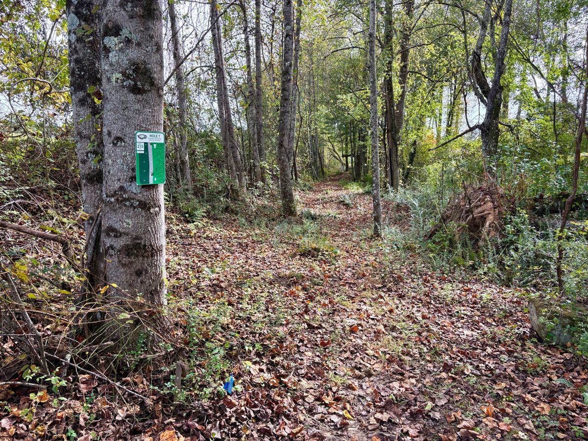 Hole 7 tee