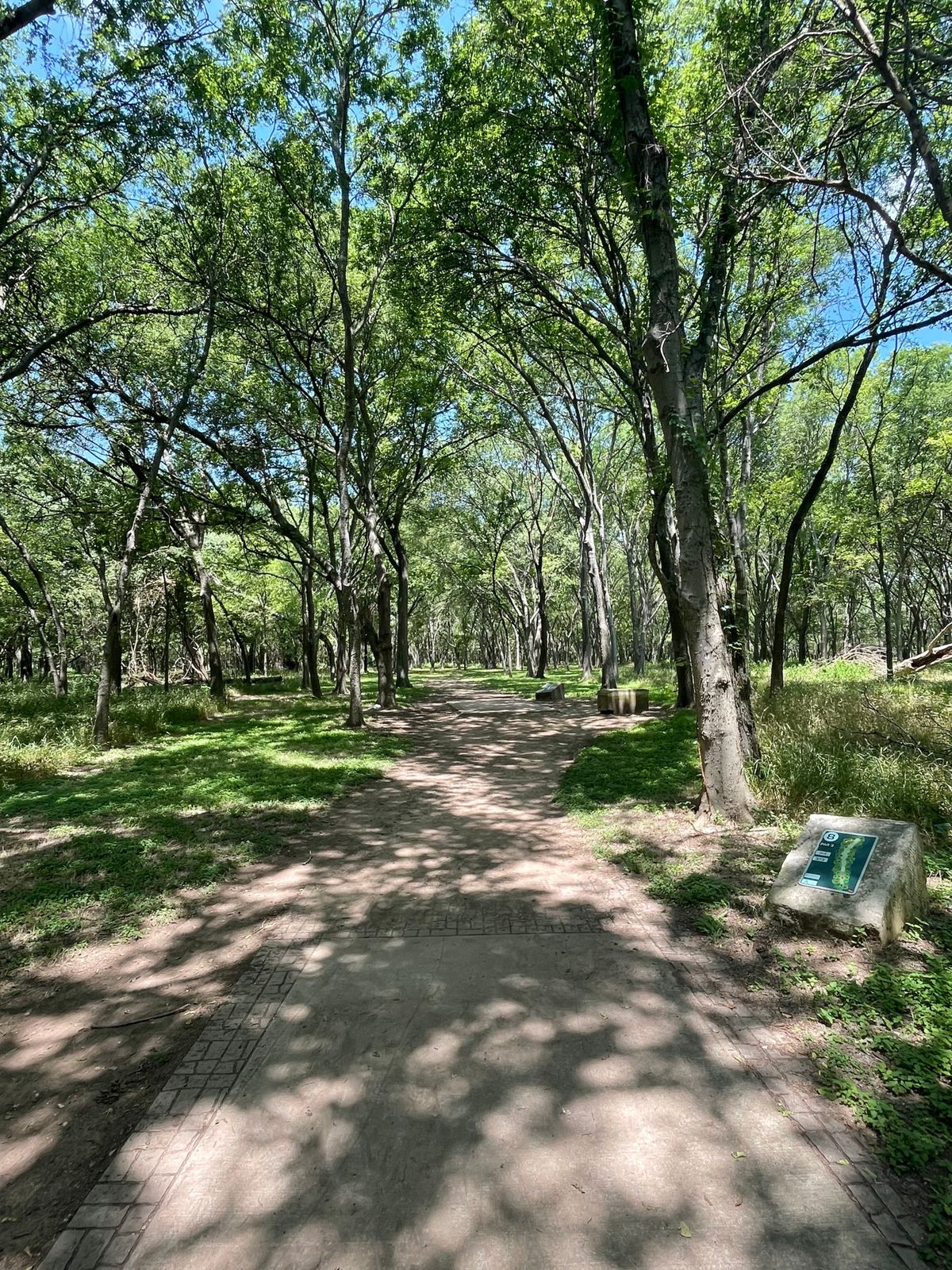Long teebox