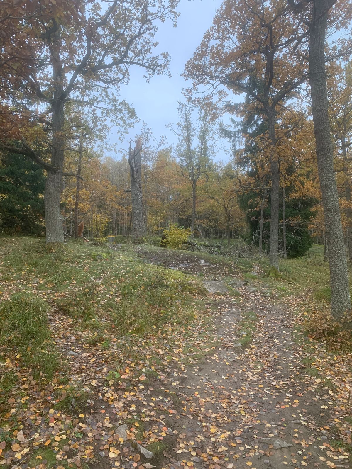 Fairway 4
