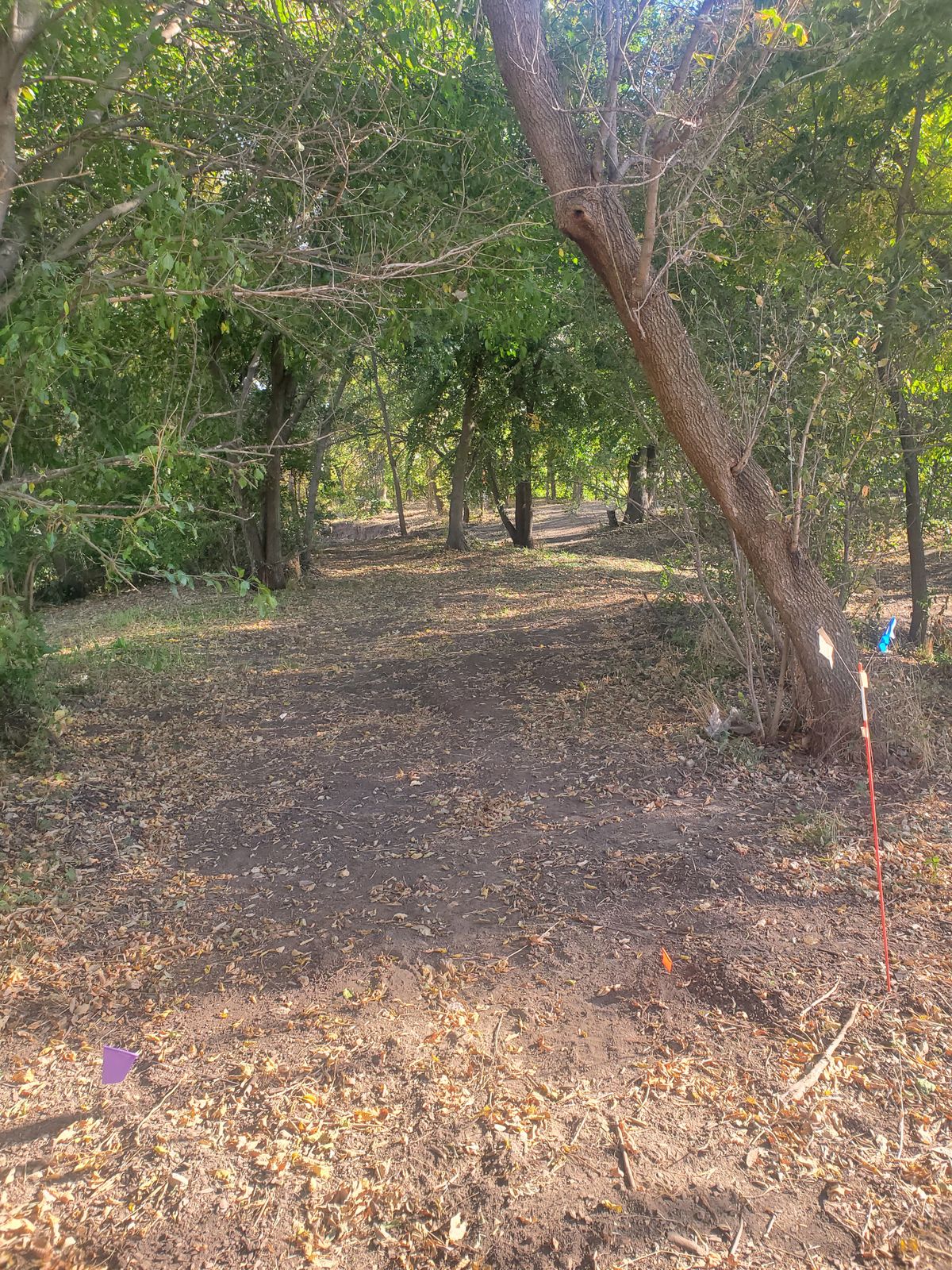 Hole 9