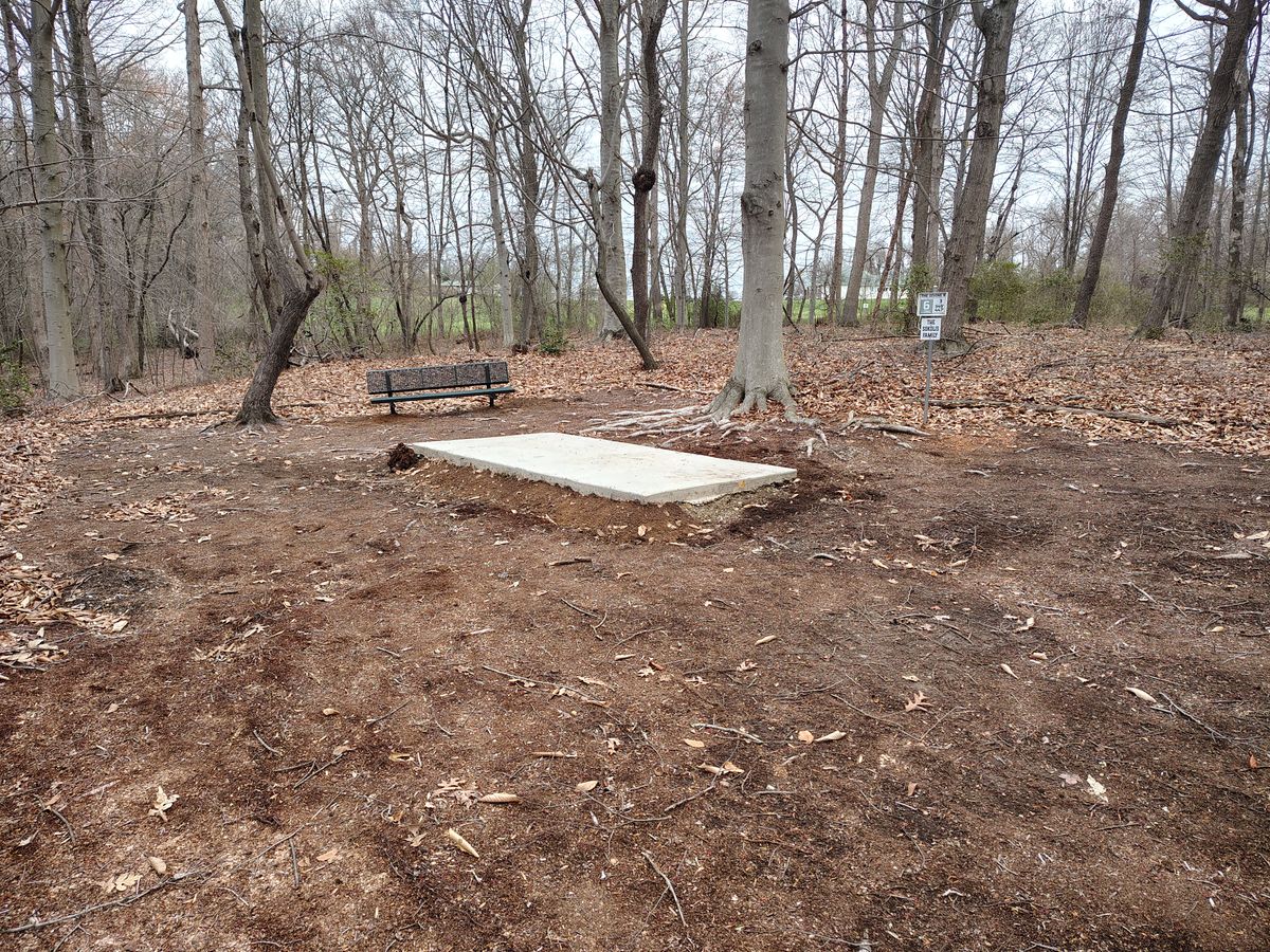 Hole 6 White
