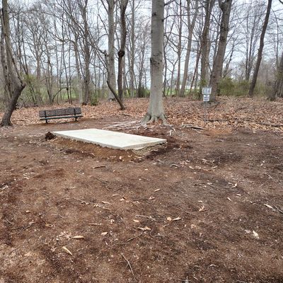 Hole 6 White