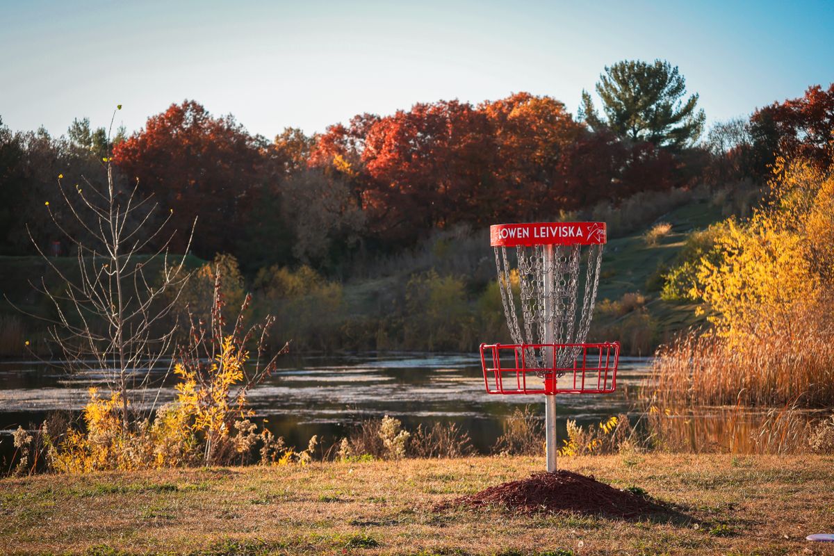 @ShelbyFramesTheDisc