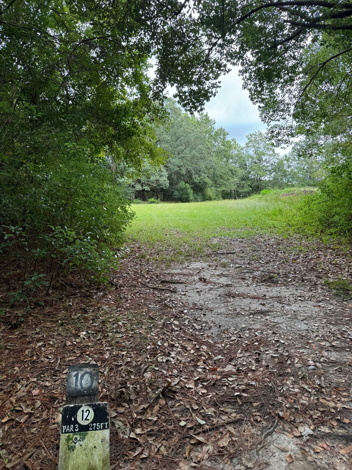Hole 12 tee