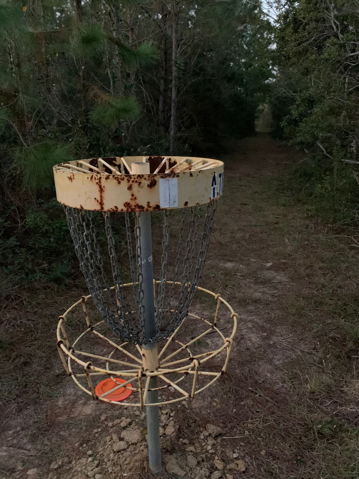 The baskets ,  over growth