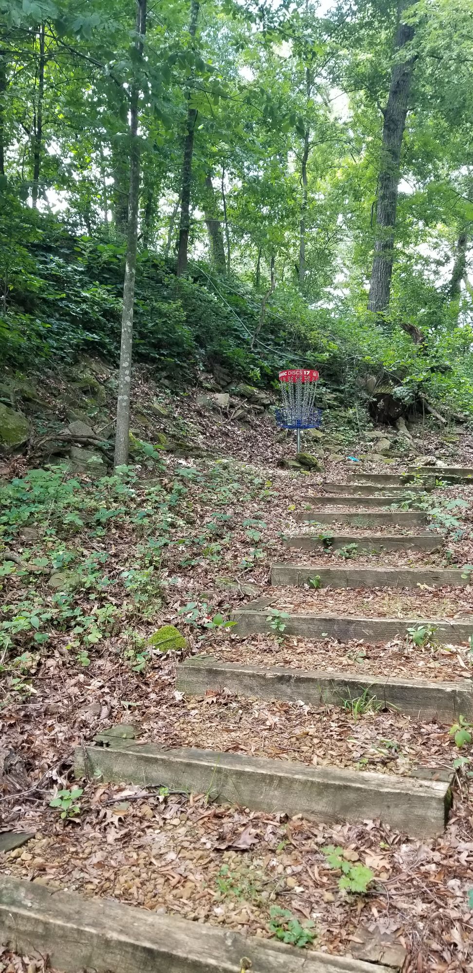 Hole 17 Basket