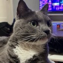 User avatar image