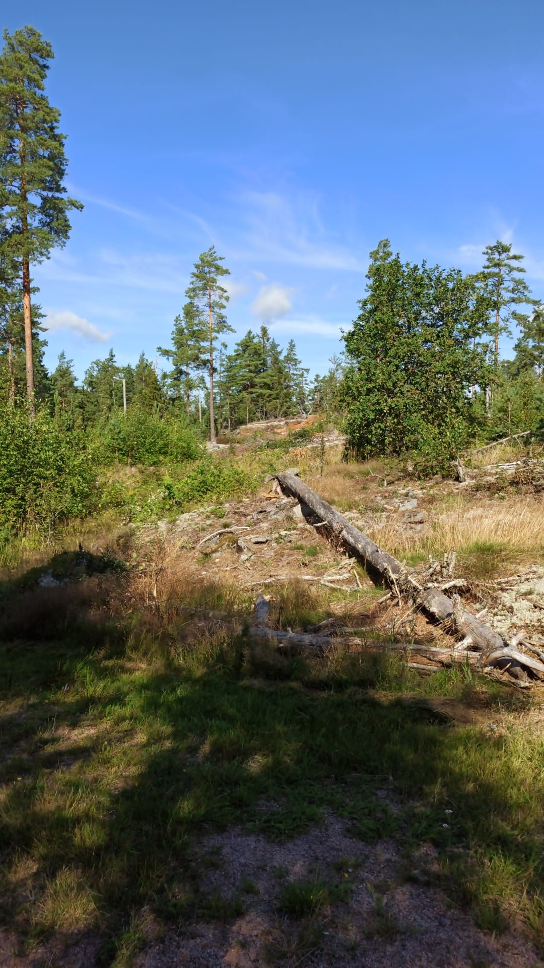Väylä 14 alhaalta katsottuna teeboksille päin 