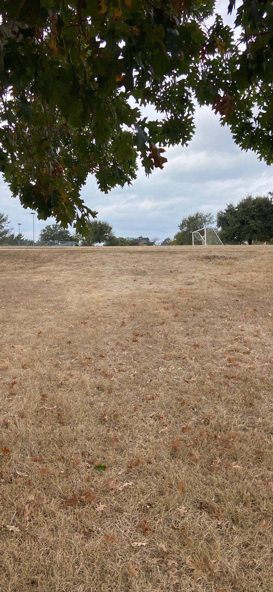 Hole 4 from teebox.