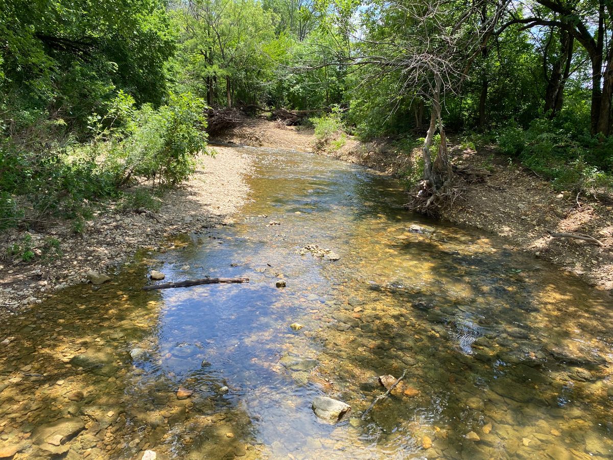 The creek!