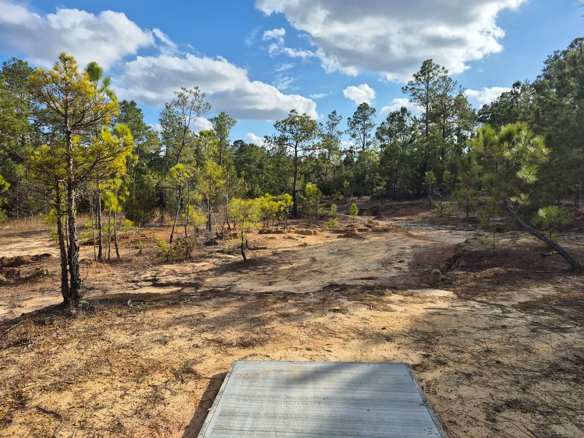 Hole 16 short pad