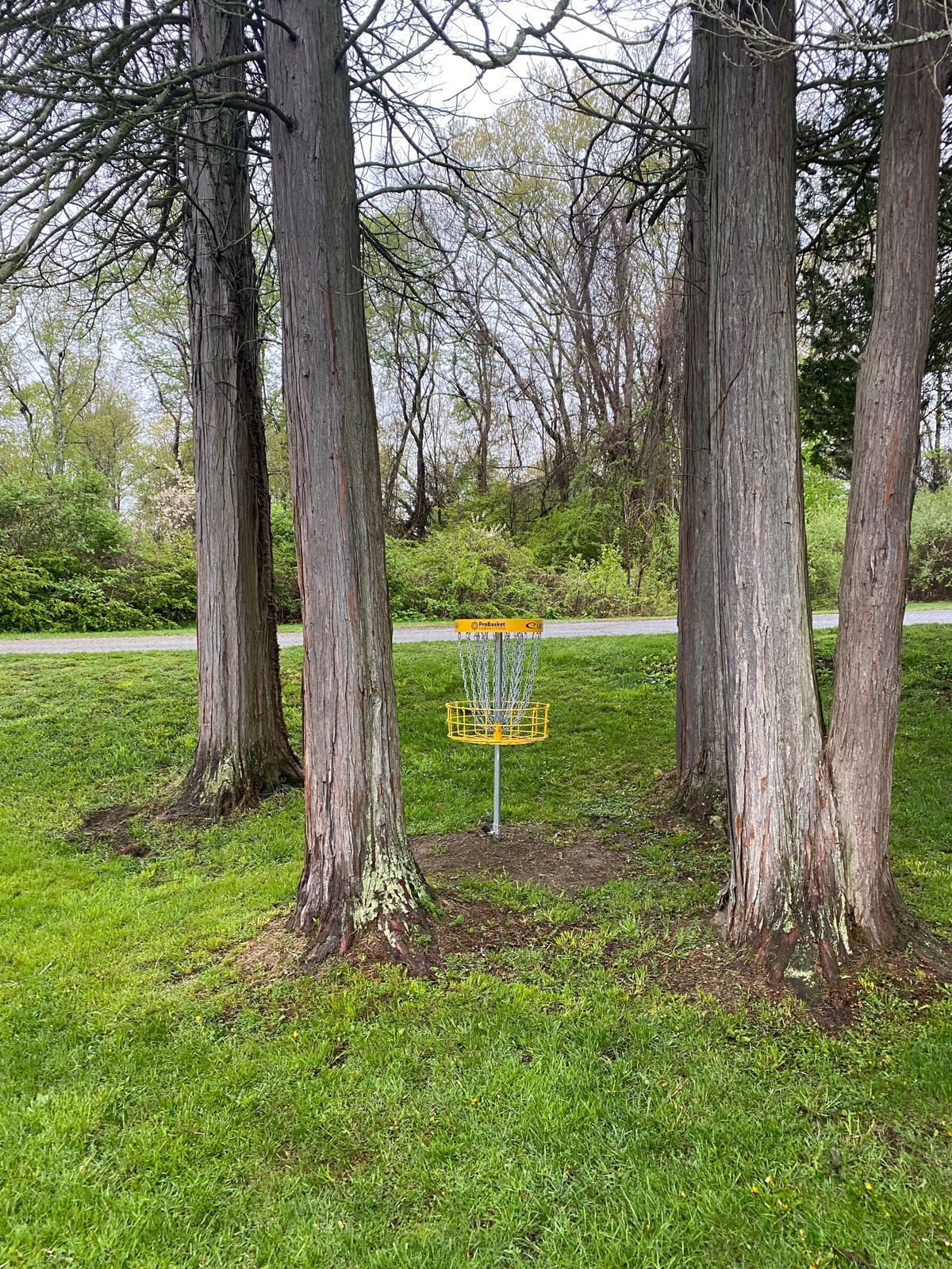 Hole 2 basket