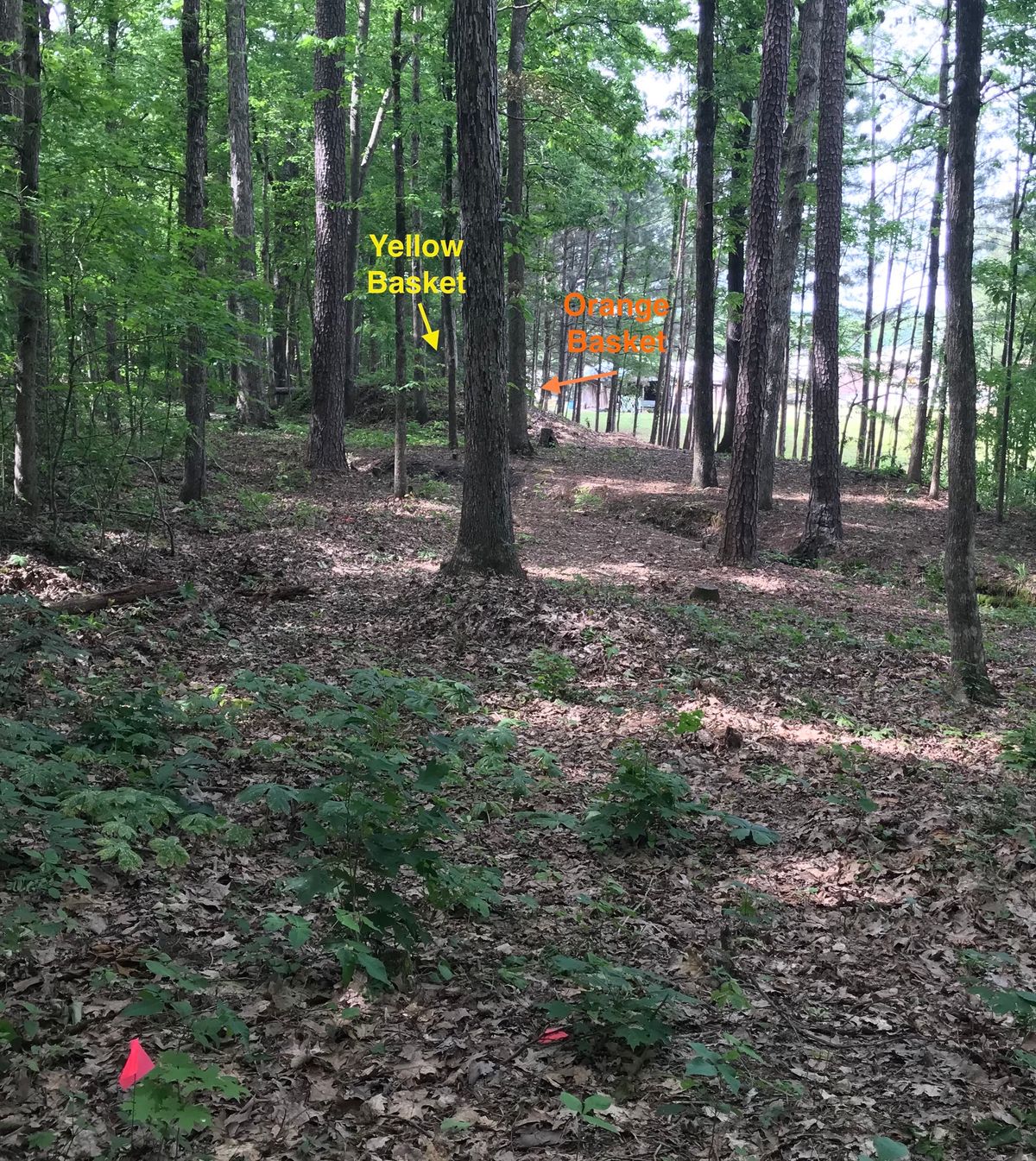Hole 4 white tee