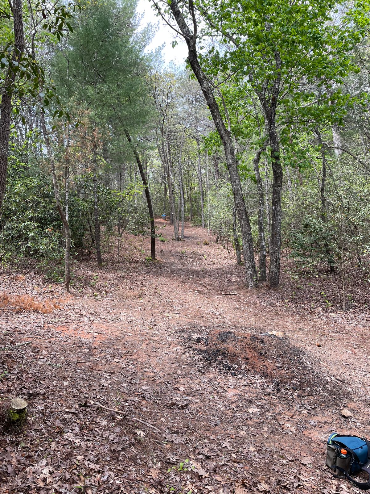 3rd tee