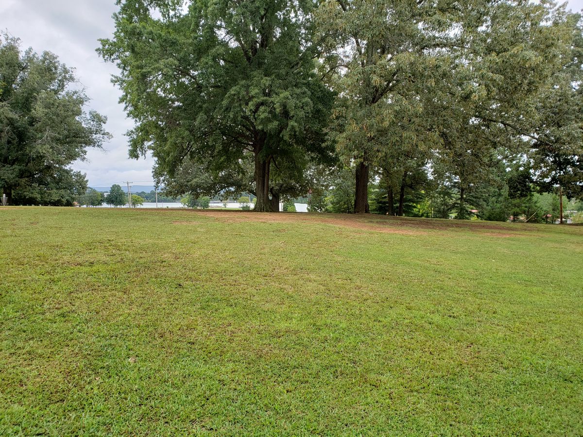 #5 Fairway