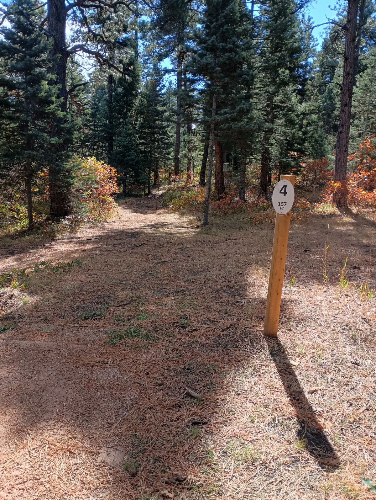Hole 4 Tee