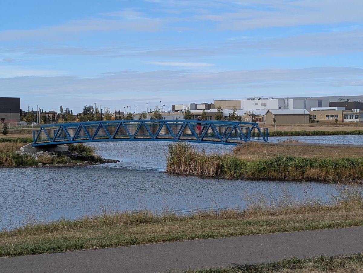 Bridge from hole 3 tee to basket. Recommend a drop zone by the far side if you didn't make / don't want to try your luck over the water.