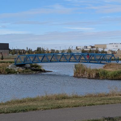 Bridge from hole 3 tee to basket. Recommend a drop zone by the far side if you didn't make / don't want to try your luck over the water.