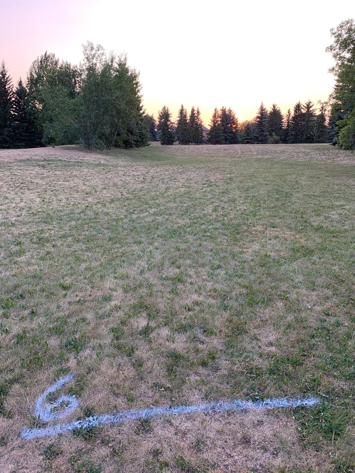 Hole 6, a RHBH hyzer with hopefully a skip at the end to make under the guardian branches.