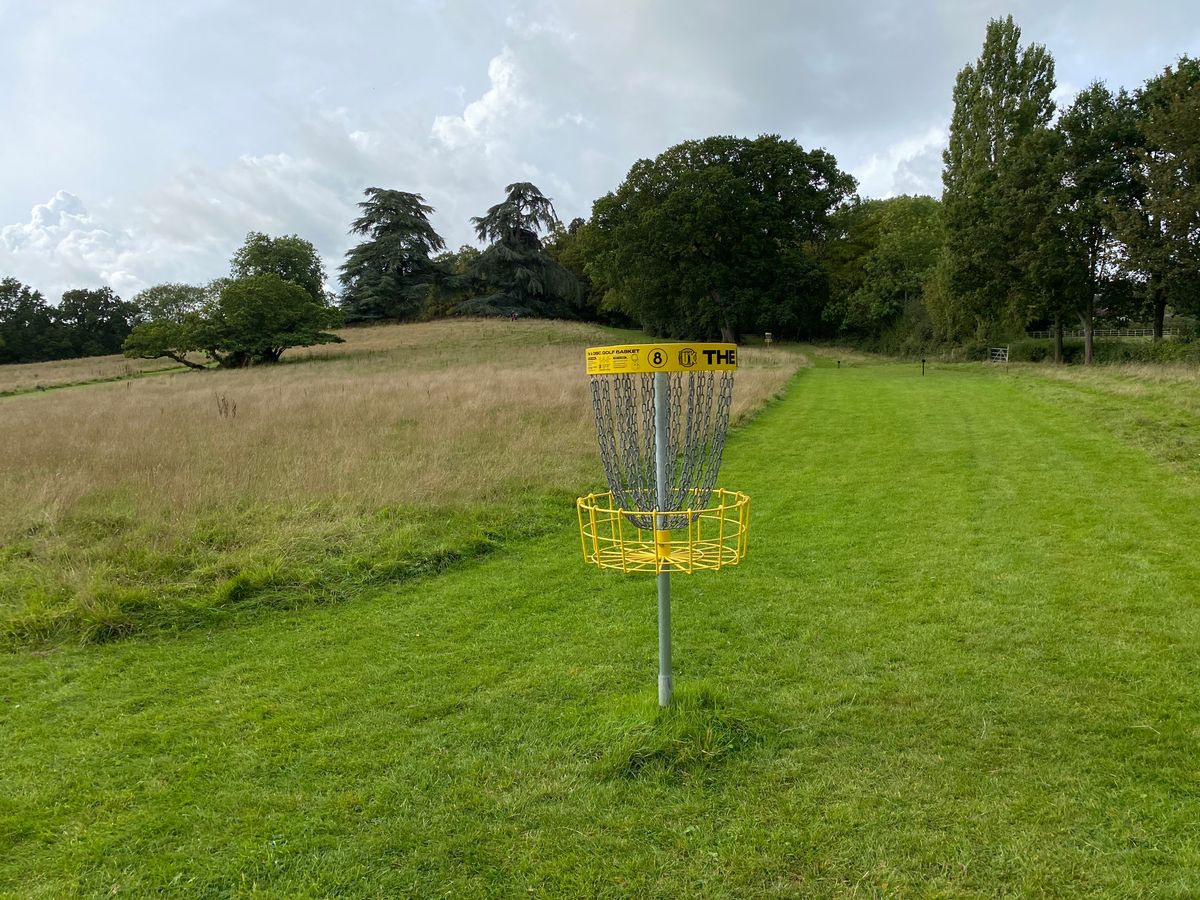 Hole eight basket  looking back towards tee