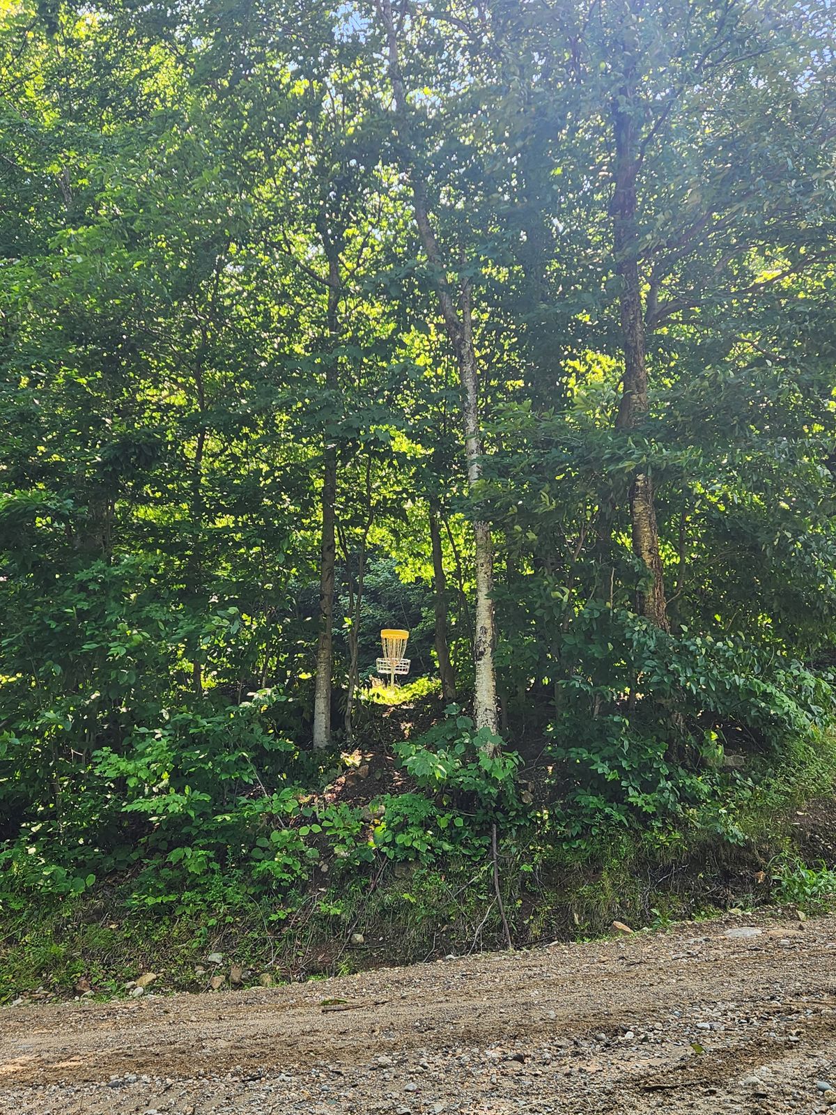 Hole 1