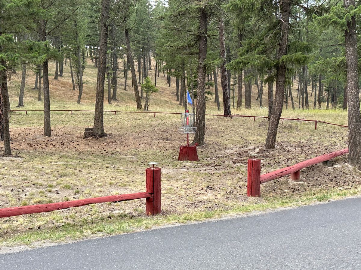 Home 16 Dog Leg Position