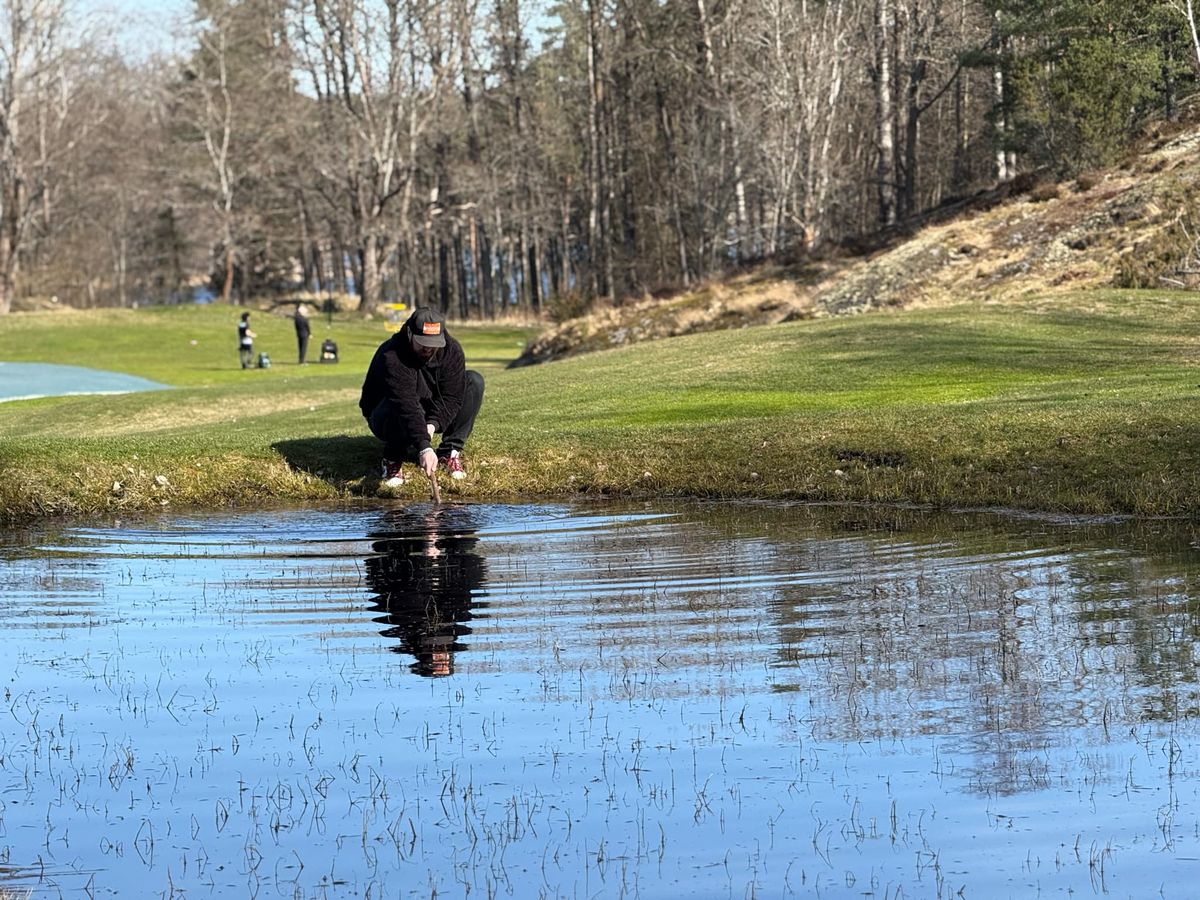 Hole 8