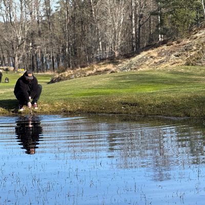 Hole 8
