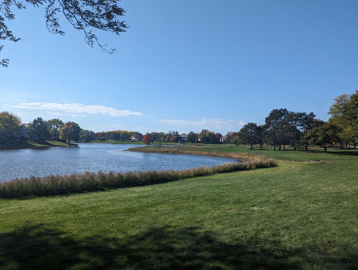 Tee 1