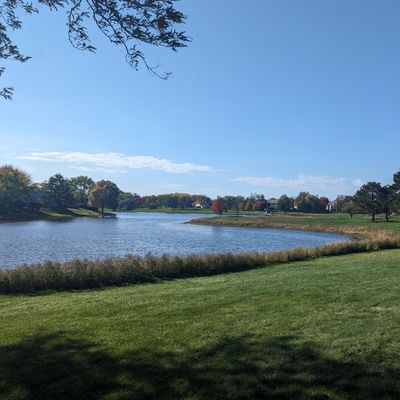 Tee 1