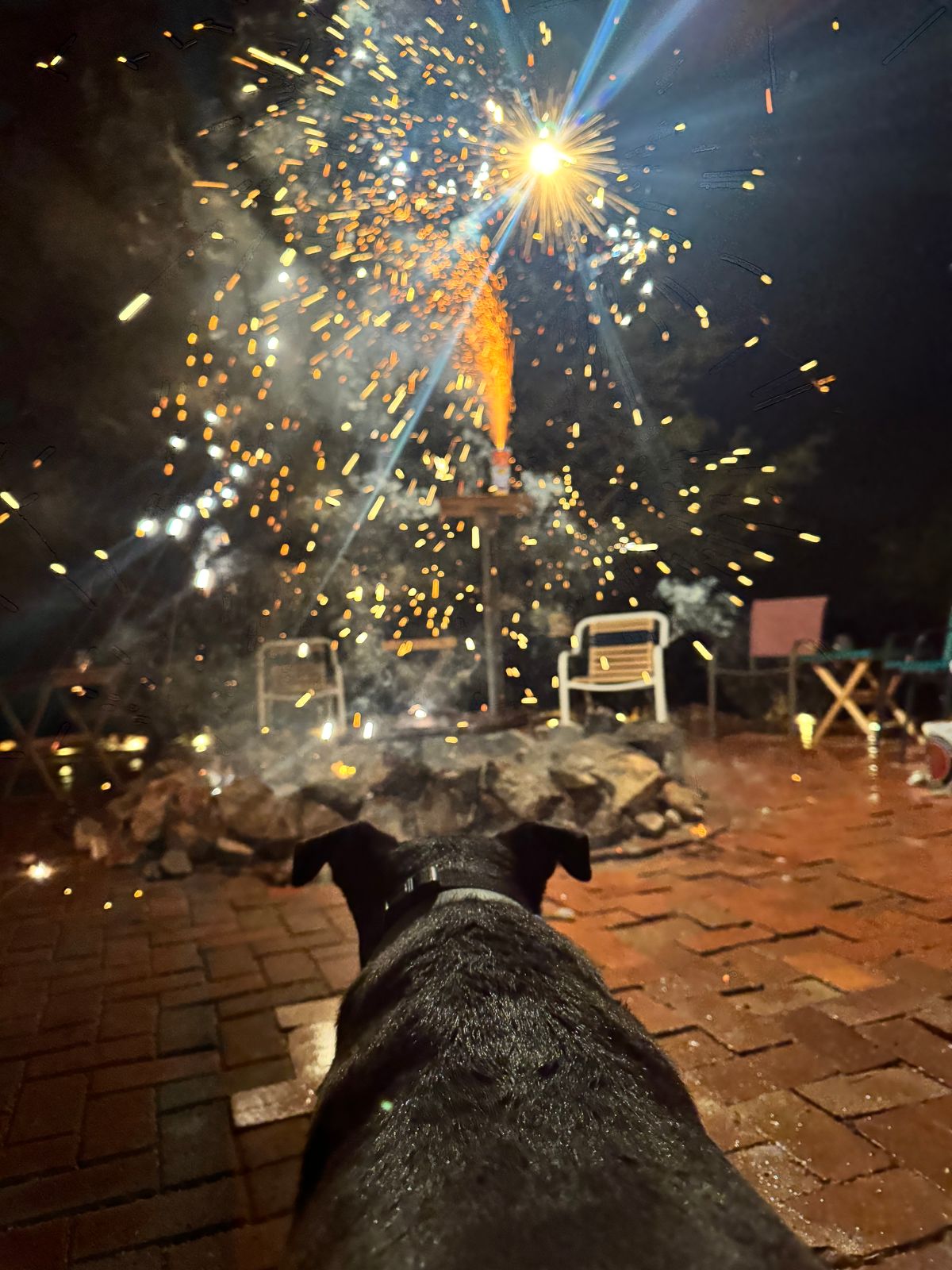 Snickers the fearless dog will be your guide