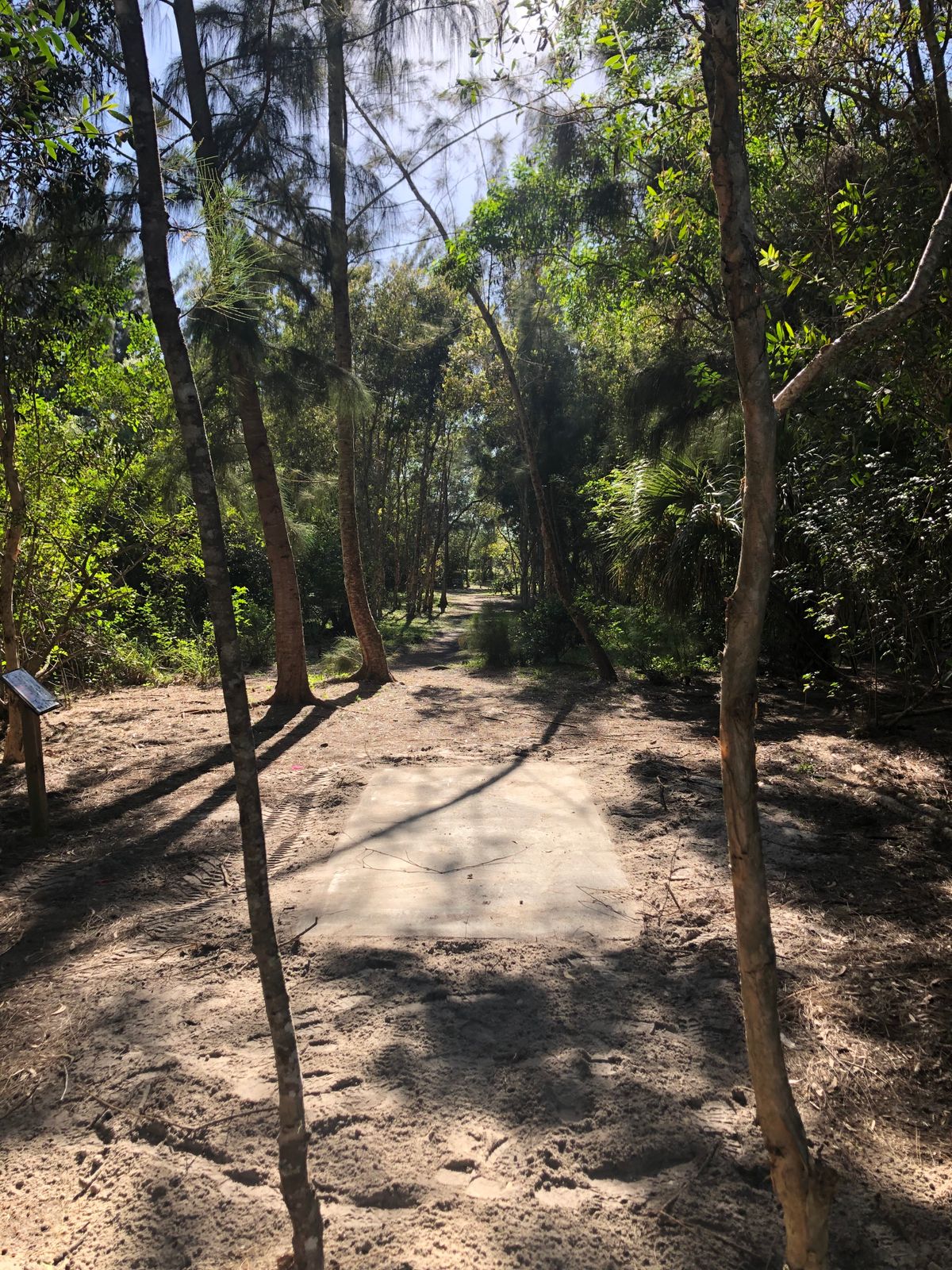 Hole 4