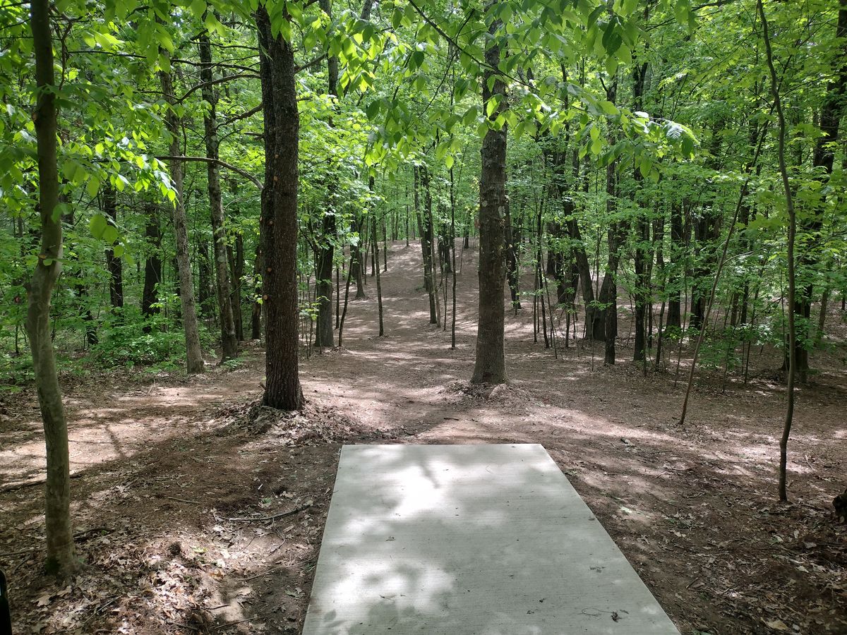 Hole 11 tee