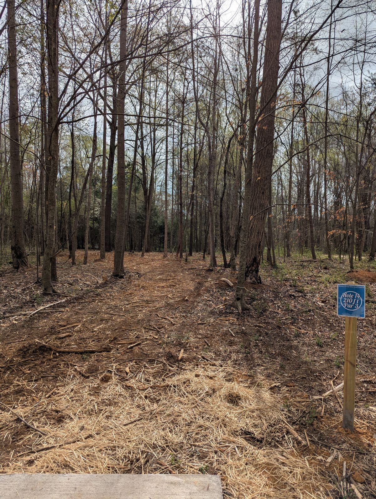 Hole 14