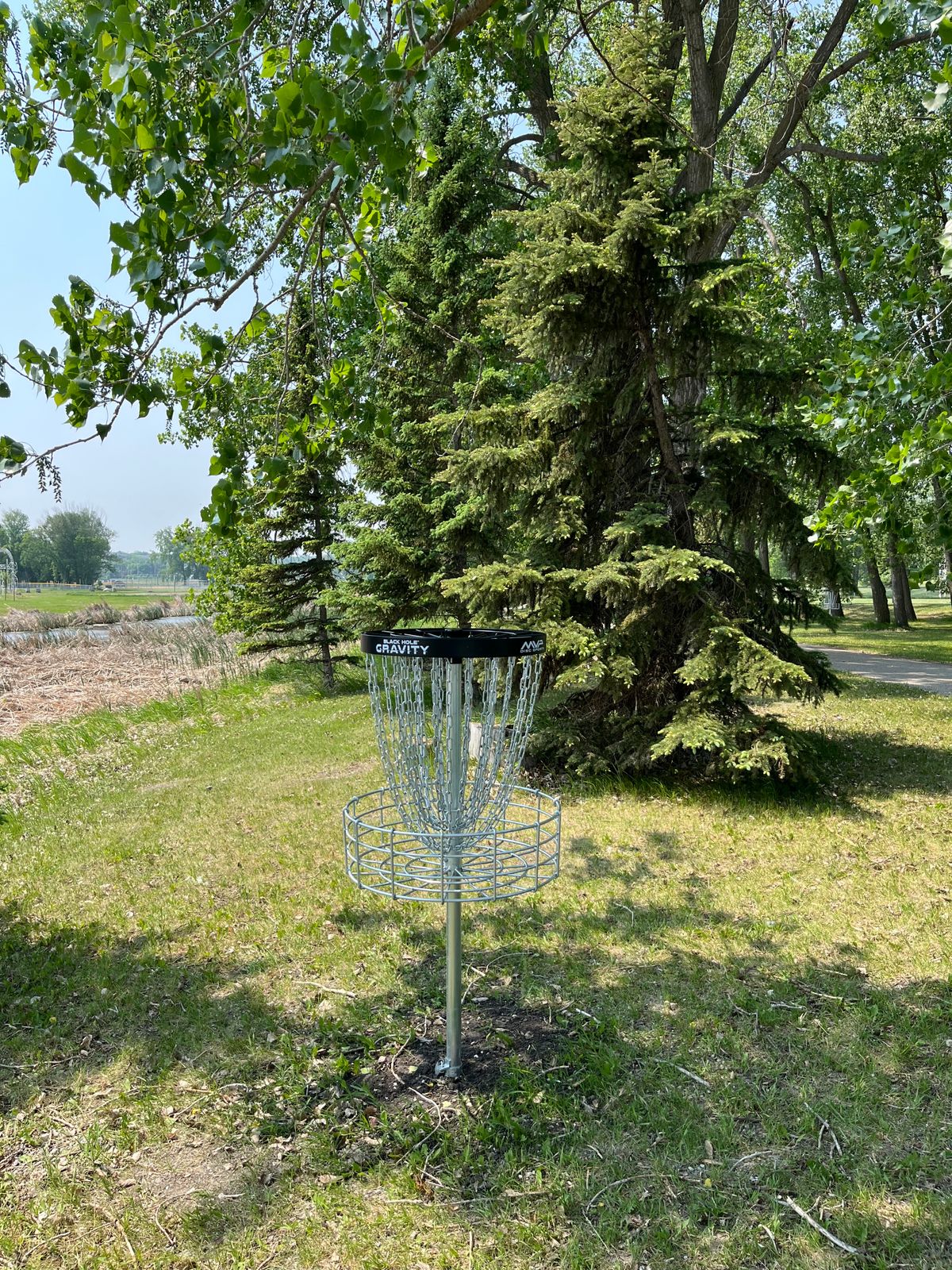 Hole 4 basket